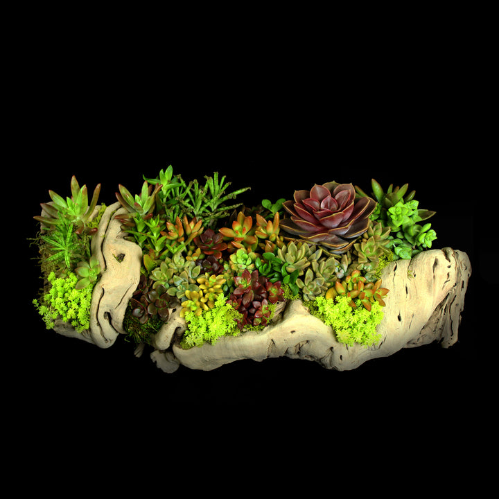 Grapevine wood with succulent arrangement