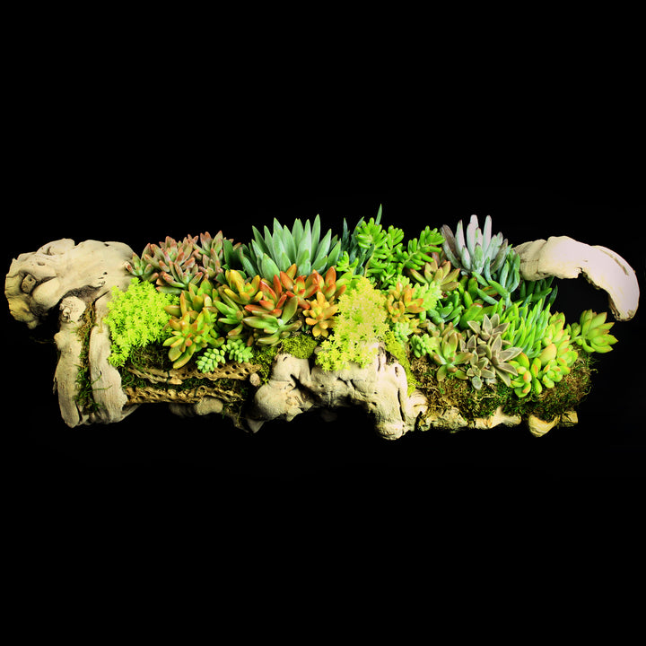 Grapevine wood with succulent arrangement